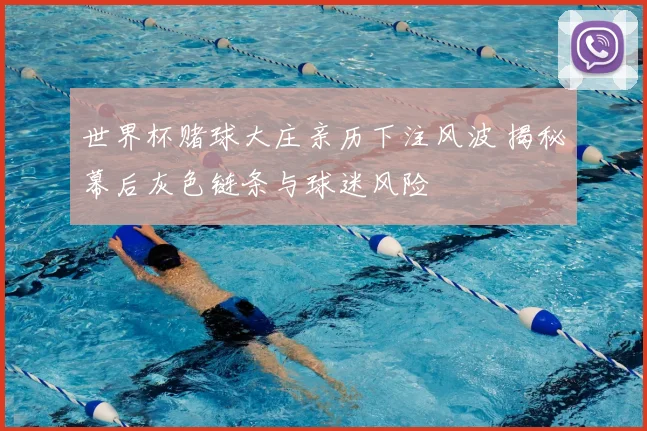 世界杯赌球大庄亲历下注风波 揭秘幕后灰色链条与球迷风险