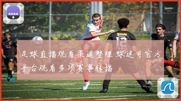 足球直播观看渠道整理 球迷可官方平台观看多项赛事转播